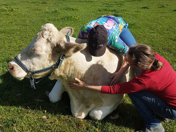 Tiergestützte Arbeit mit Bauernhoftieren bei Andrea Göhring in Rulfingen